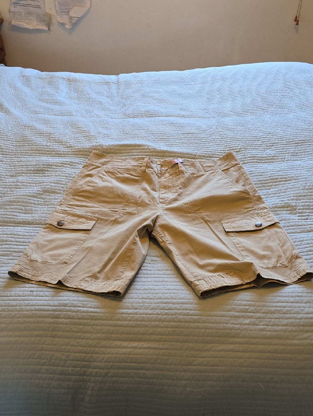 Carbon2cobalt Cotton Cargo Shorts